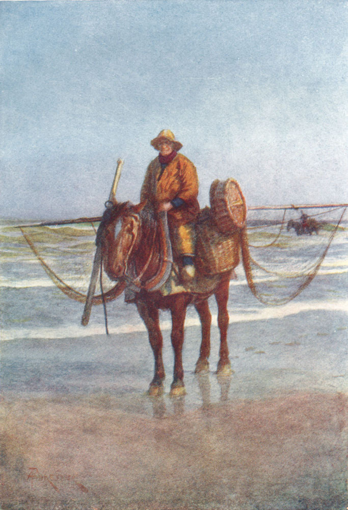 BELGIUM. A shrimper on Horseback, Koksijde Coxyde 1908 old antique print